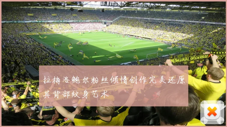 拉梅洛鲍尔粉丝倾情创作完美还原其背部纹身艺术