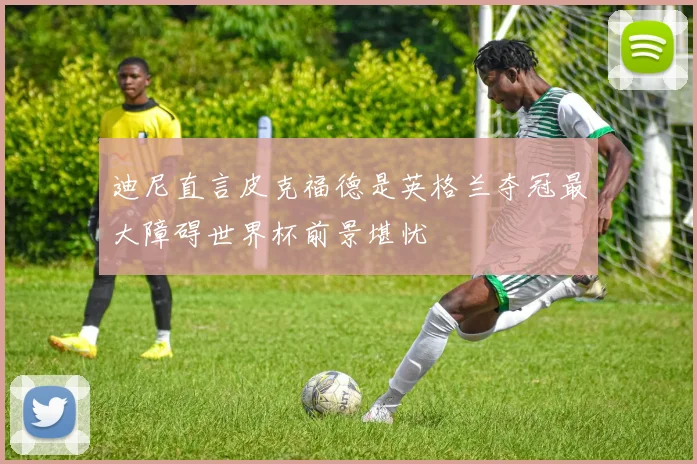 迪尼直言皮克福德是英格兰夺冠最大障碍世界杯前景堪忧